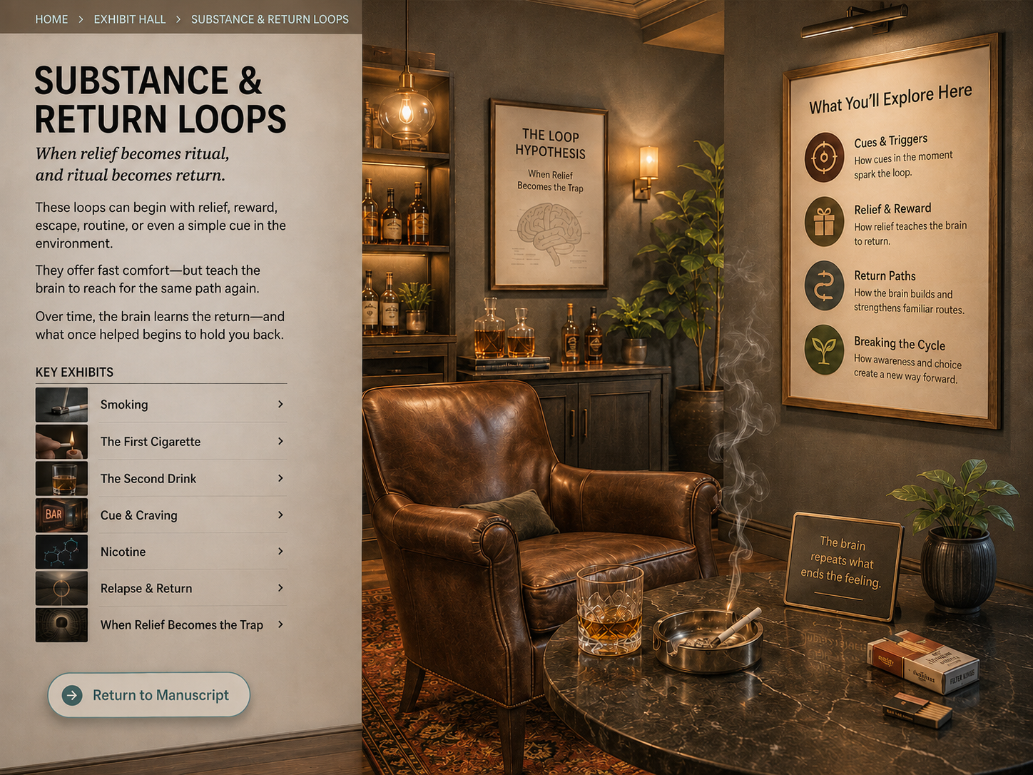Substance, Risk & Return Loops room image